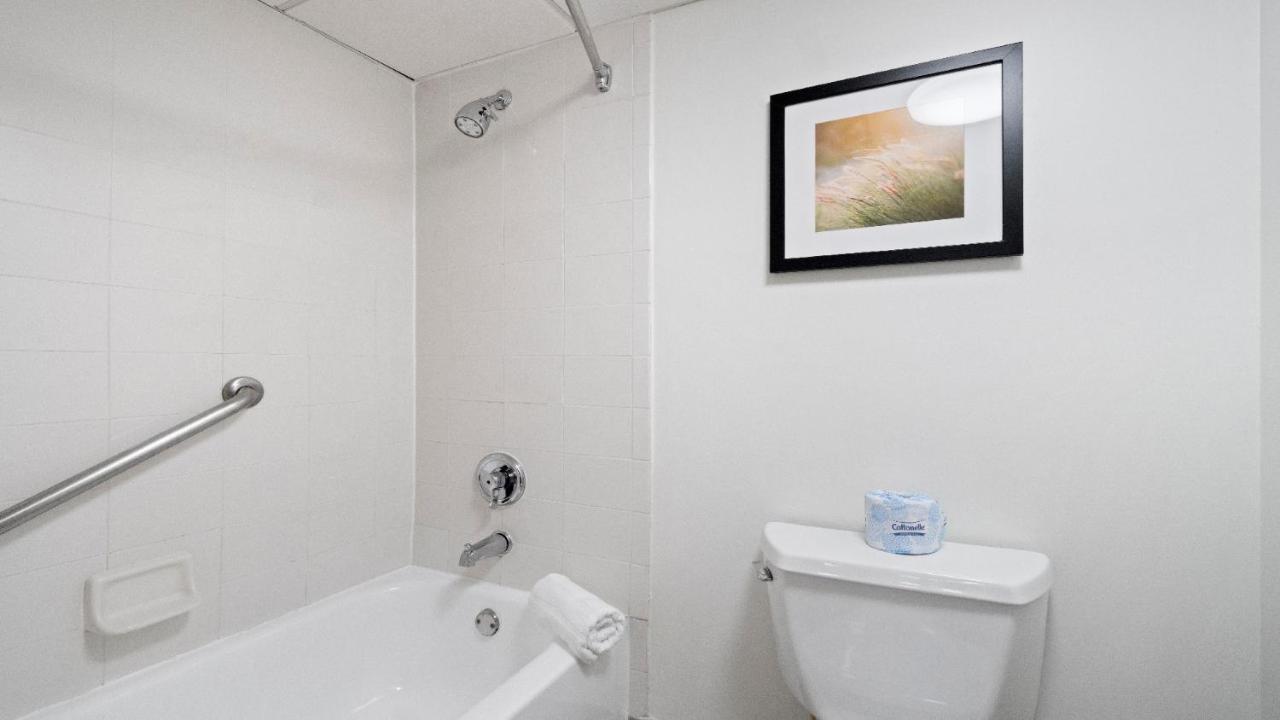 315 Loso Hotel Airport 샬럿 외부 사진