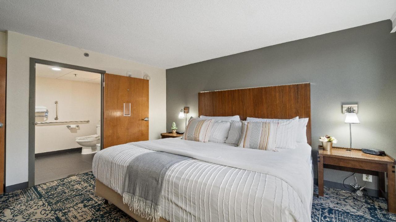 315 Loso Hotel Airport 샬럿 외부 사진